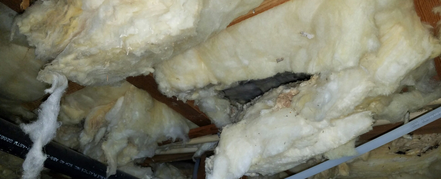 old insulation